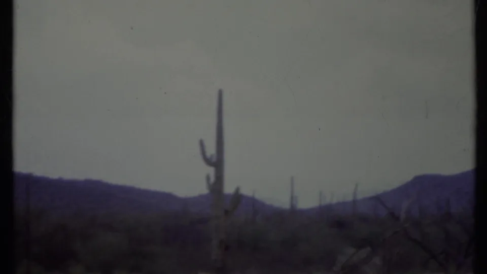 1971 California desert frame with a prominent saguaro-like cactus, low brush, distant mountains, and pale sky.