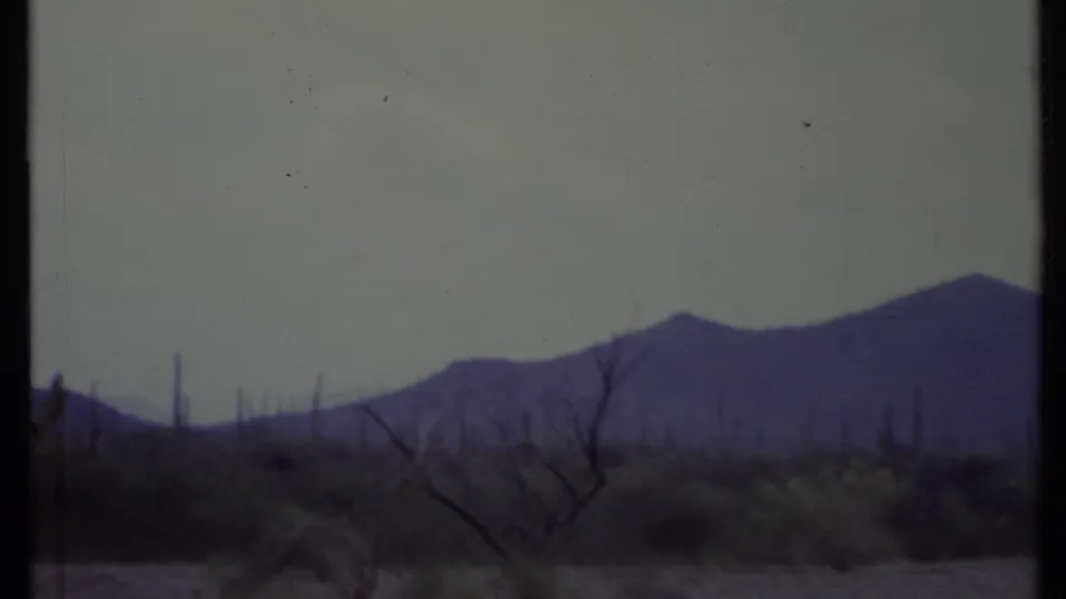 1971 California desert view with sparse scrub, leafless trees, tall cacti, and hazy mountains in the distance.