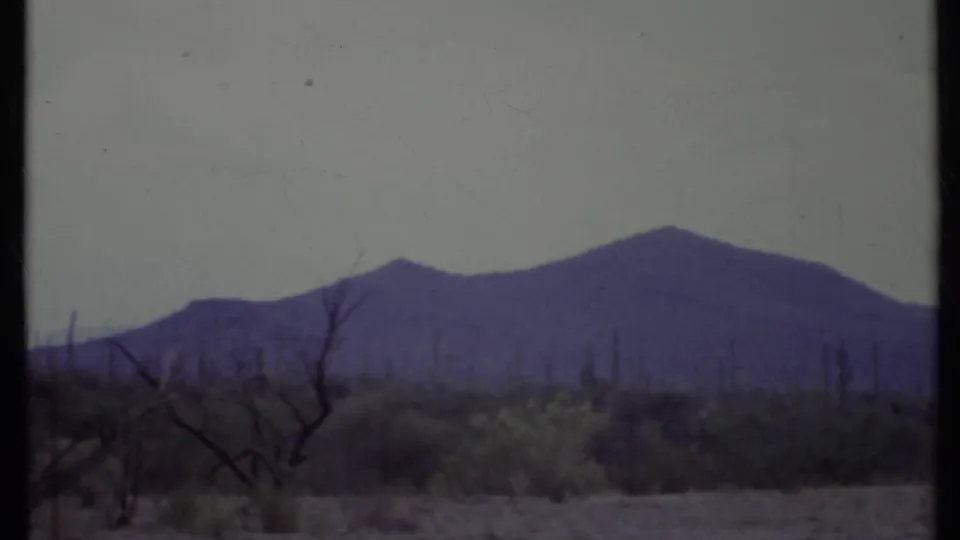 Muted 8mm frame of a California desert plain with scattered cacti, dead trees, and a purple mountain ridge beyond.