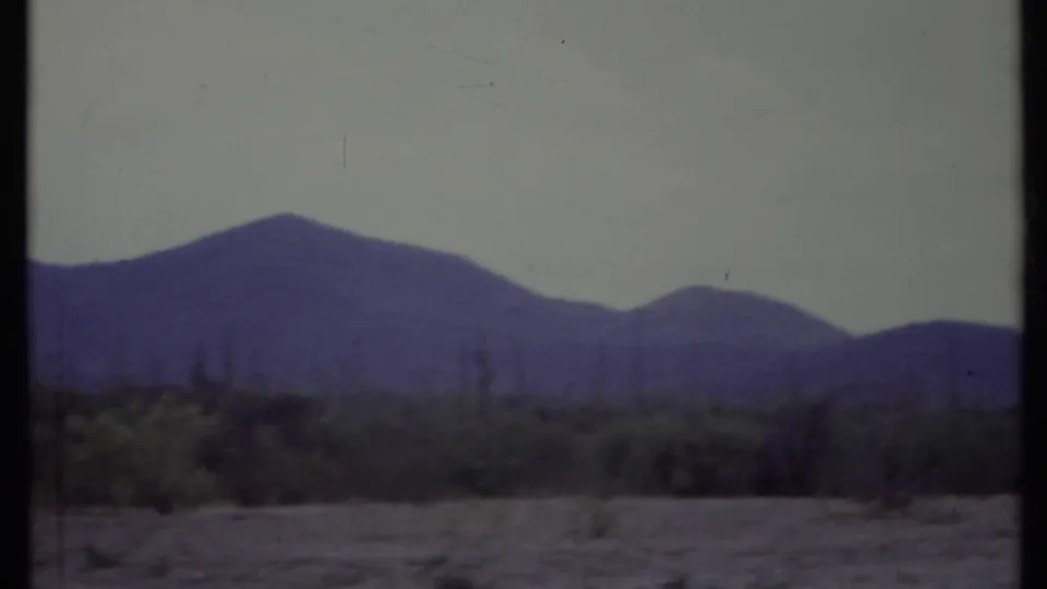 1971 California desert landscape showing a sandy foreground, scrub vegetation, tall cacti, and broad blue mountains.
