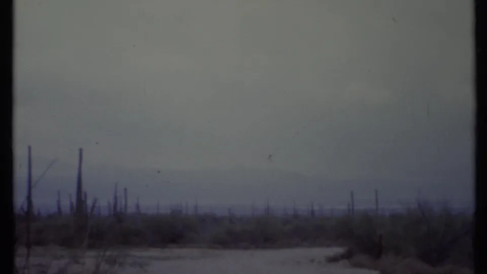 Soft 8mm view of a California desert plain with thin cacti, low brush, haze, and faint distant mountains.