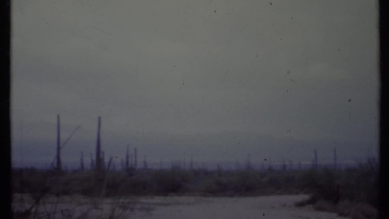 Dark cacti and desert scrub under a muted sky with distant hills.