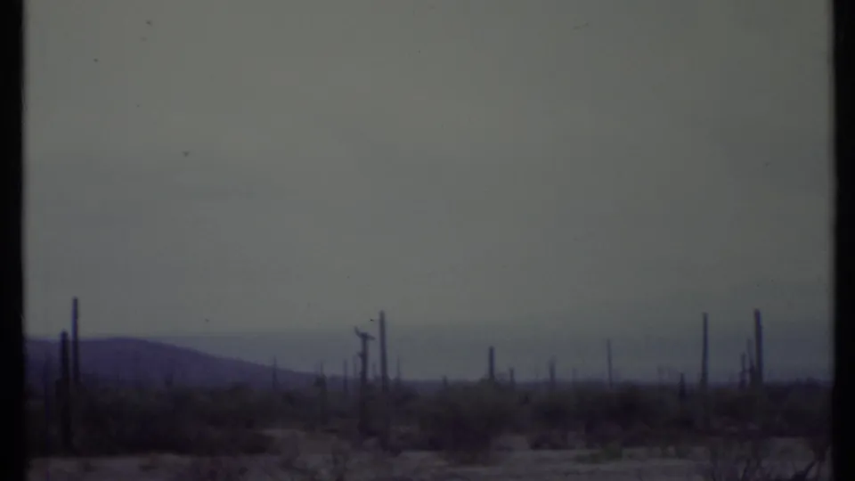 1971 8mm frame of a cactus-lined California desert horizon, with low brush, muted sky, and soft distant terrain.