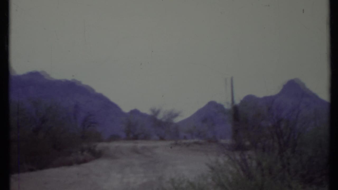 Dirt road curving through desert shrubs toward rugged mountains.
