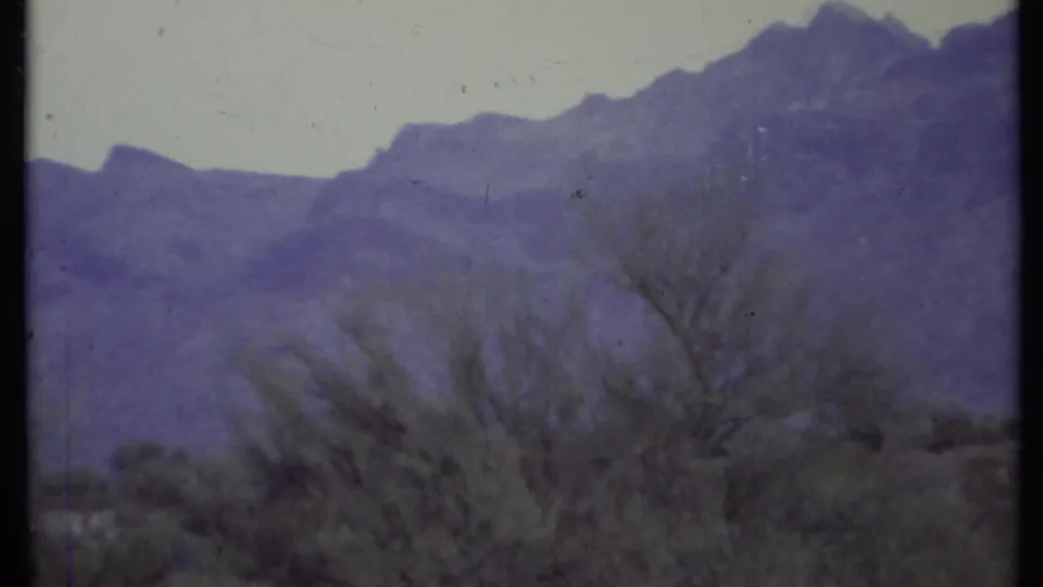 Faded 8mm frame of purple-toned mountains behind sparse brush and a bare tree, from the 1971 travel clip metadata.