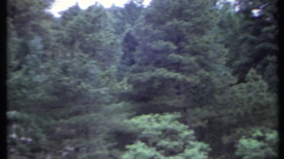 A brief 8mm view of dense mountain forest and layered green hillside, likely near the inn location shown in the clip.