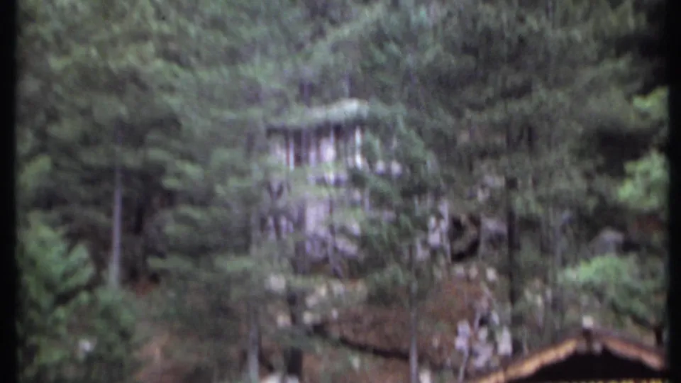 A wooded mountain slope with a small structure partly obscured by trees and brush, continuing the visitor-shot landscape view.