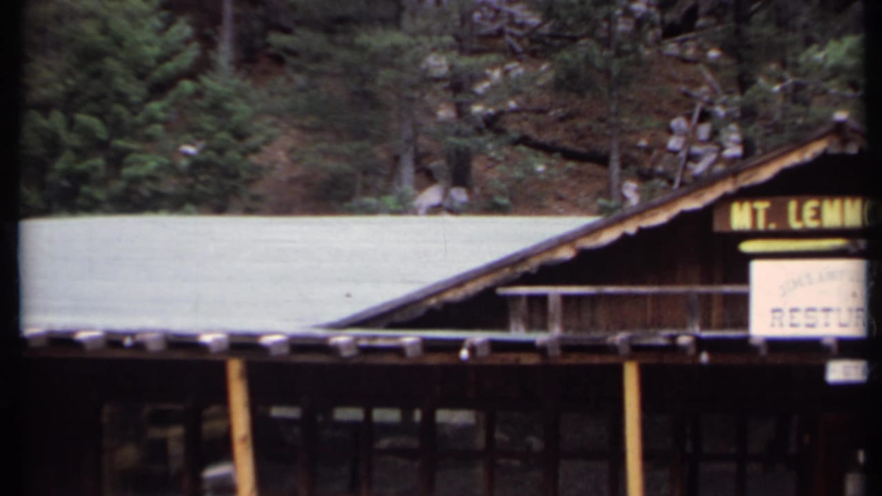 Rustic wooden mountain building with forest behind and a partial MT. LEMMON sign.