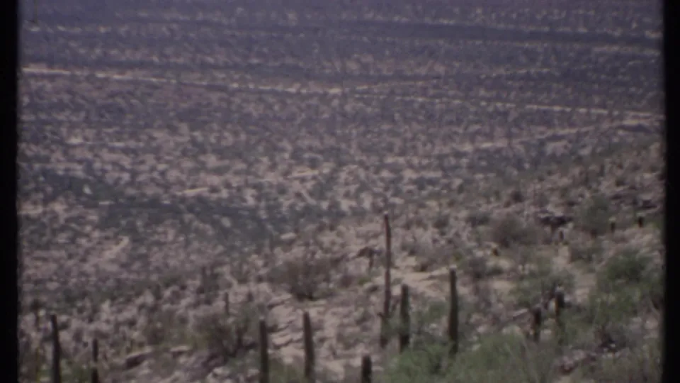 1971 California desert view with visible columnar cacti and shrubs on a hillside above a broad valley and distant mountain range.