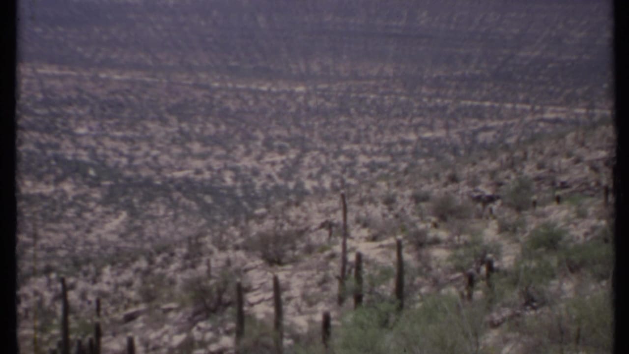 Dry hillside with tall cacti, scrub vegetation, distant valley, and hazy sky.