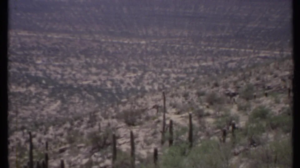 1971 California 8mm frame showing an arid hillside with columnar cacti, sparse brush, a distant valley, and a muted hazy sky.