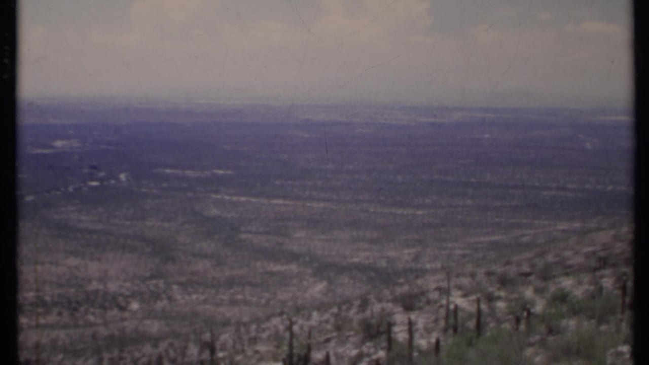 Hazy arid valley seen from an elevated scrub-covered slope.