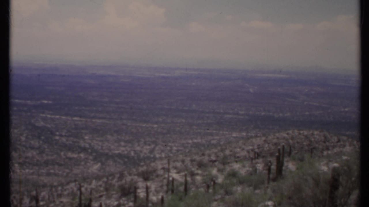 Desert overlook with columnar cacti, scrub, rocky slope, hazy valley, and pale sky.