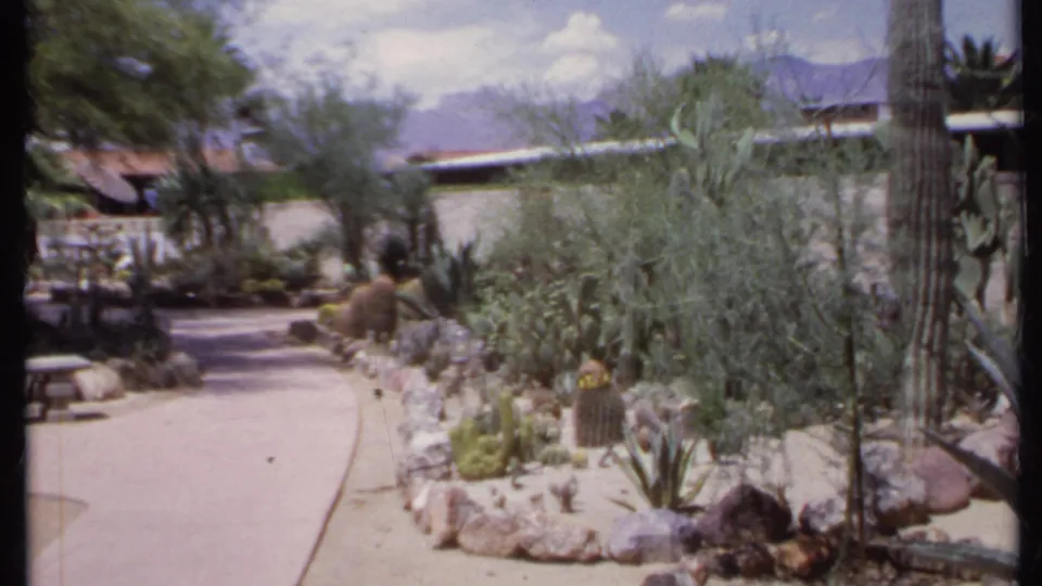 1971 California 8mm frame showing a curved path through a cactus garden, with stone edging, shrubs, a low wall, trees, and distant mountains.