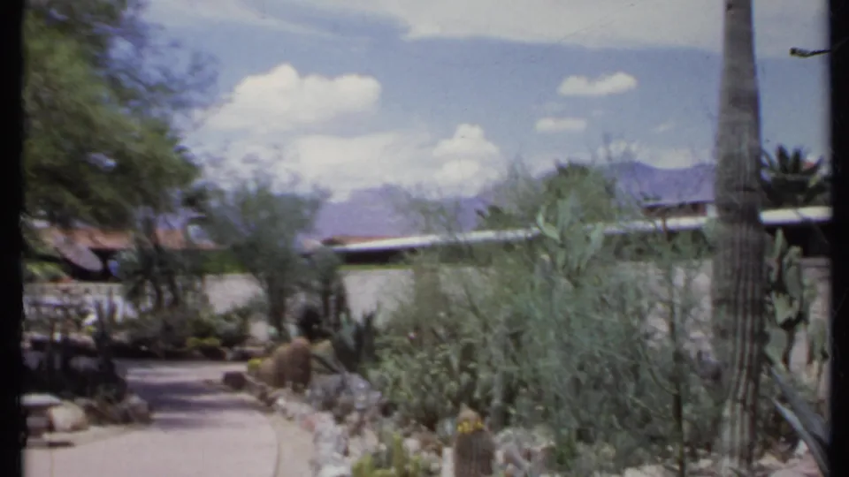 1971 California 8mm frame of a desert garden path bordered by shrubs and cacti, with a tall trunk, low wall, blue sky, clouds, and mountains.