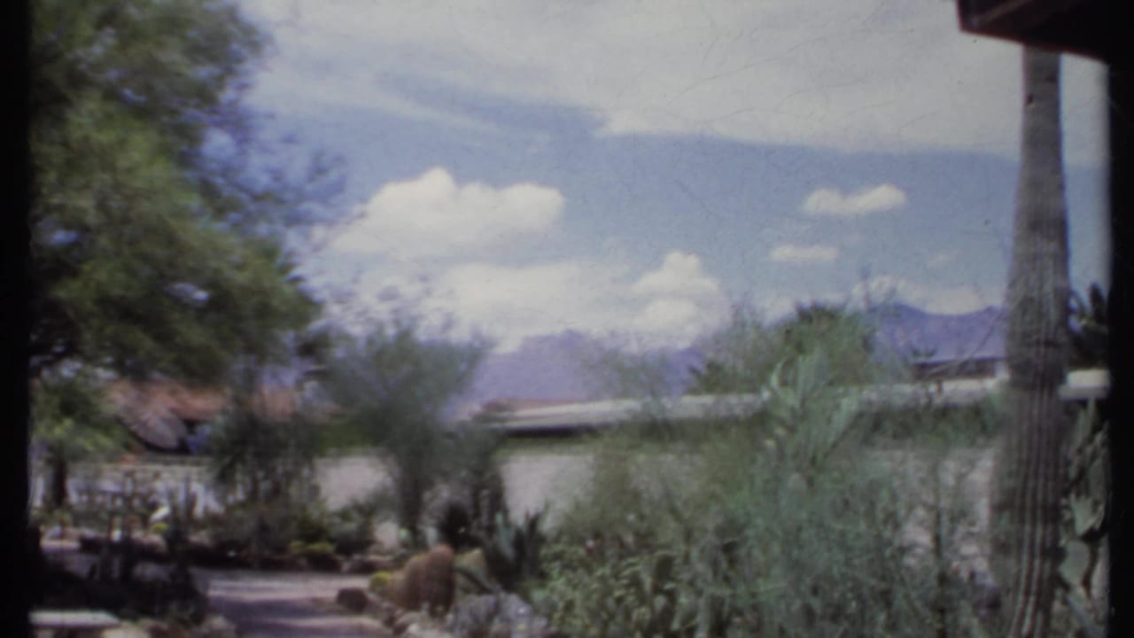 Desert garden path with cacti, trees, a low building, mountains, and clouds.