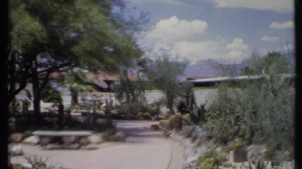 1971 California home-movie frame of a sunlit garden walkway with desert plants, rock edging, trees, and a low structure.
