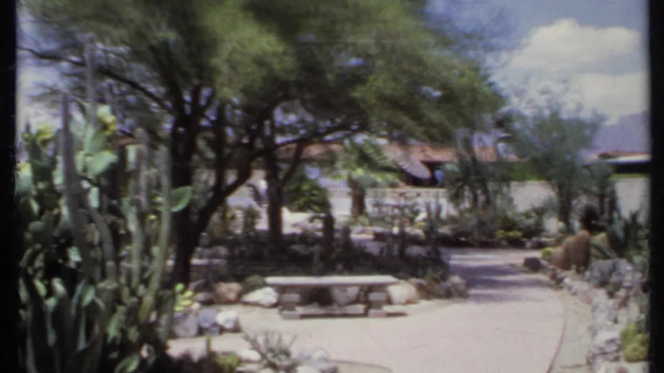 1971 California 8mm view of a desert garden path with cactus clusters, a stone bench, a broad tree, and a low building.