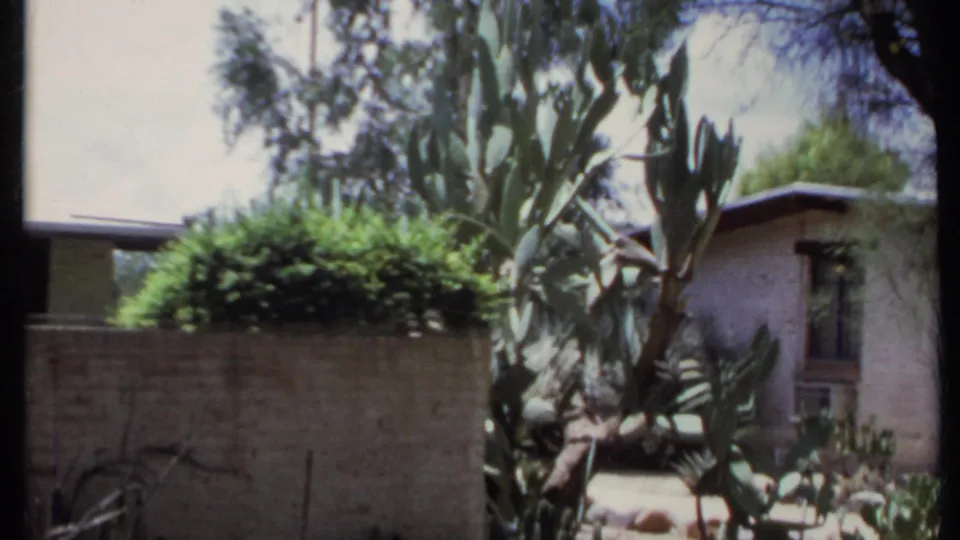 1971 California 8mm frame showing cactus landscaping, a low masonry wall, trees, and a stucco house with a window air conditioner.