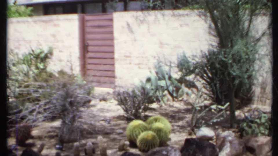 1971 California garden view with a reddish wooden gate set into a pale brick wall, surrounded by barrel cacti, rocks and dry planting.
