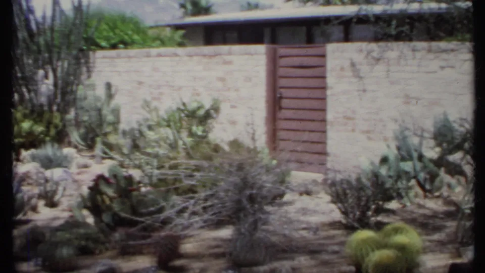 1971 California home-movie frame showing a pale brick wall and wooden gate behind a cactus garden with barrel cacti, shrubs and rocks.