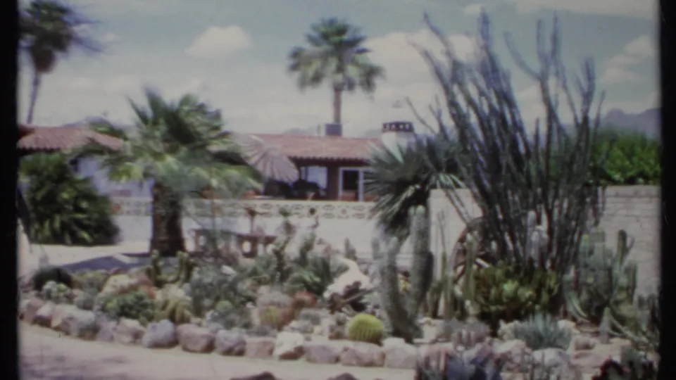 1971 California exterior view of palm trees, cactus plantings, a stucco wall, tile roof, and bright sky in a residential garden.