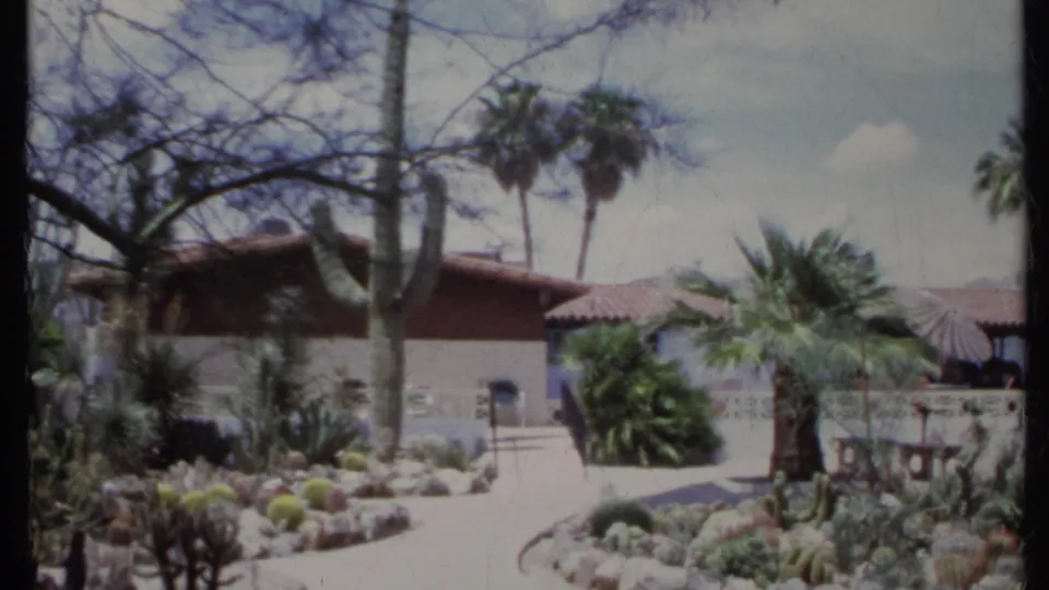 1971 California frame showing tall cactus, palms, a curved driveway, rock-edged desert plants, stucco walls, and tile roofing.