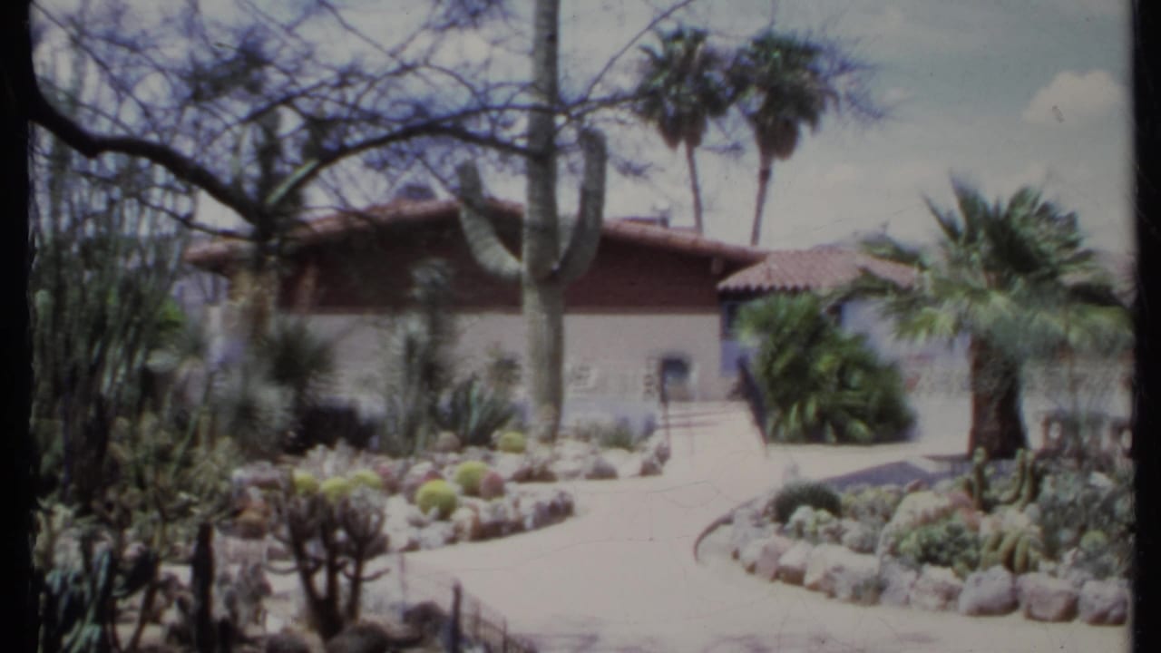 Stucco house with red tile roof behind cactus beds and palm trees.