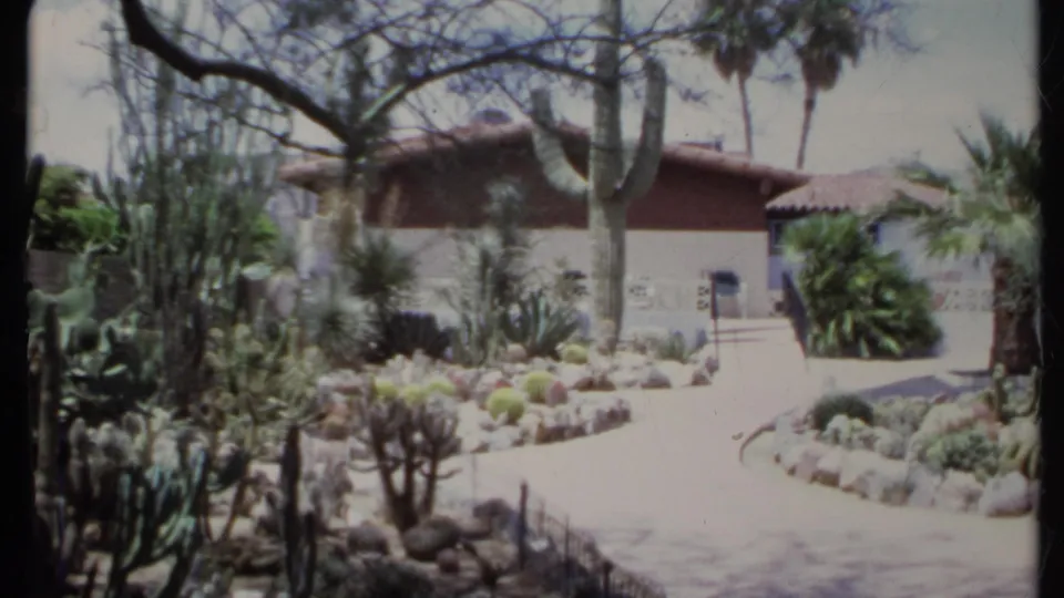 1971 California exterior view of a single-story stucco home with desert plants, palms, rocks, and a sunlit curved path.