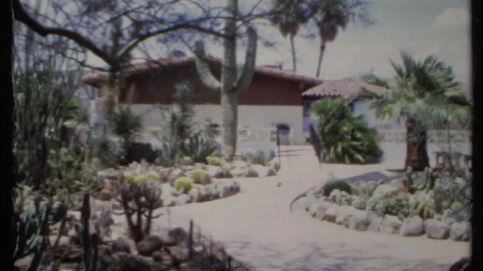 1971 California 8mm frame of desert landscaping in front of a stucco house with palms, cactus, and a curved path.