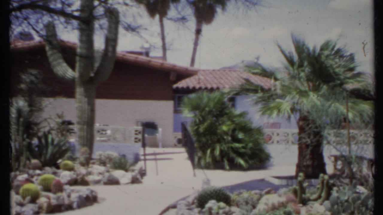 Backyard with cactus garden, palms, stucco house, and red tile roof.