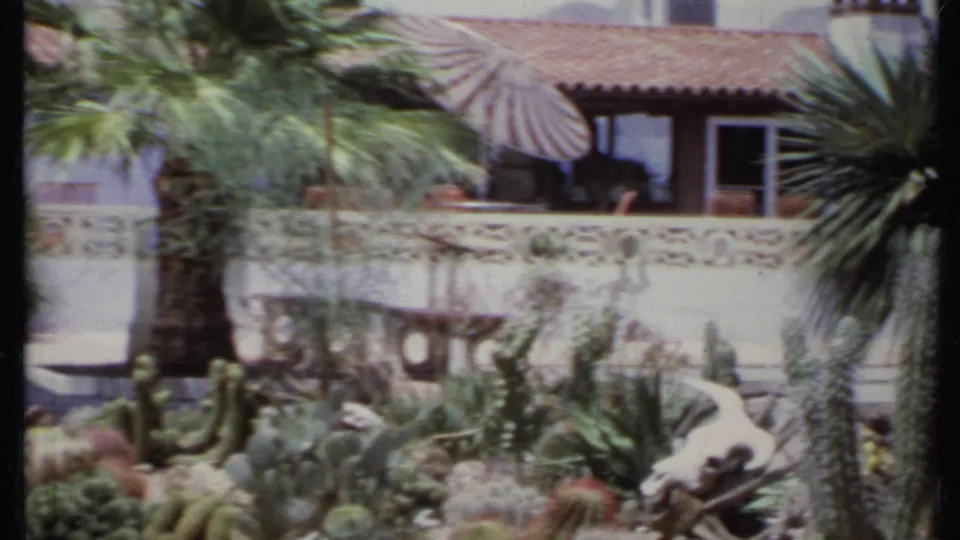 1971 California home exterior with striped patio umbrella, white patterned wall, palm tree, and dense cactus garden.