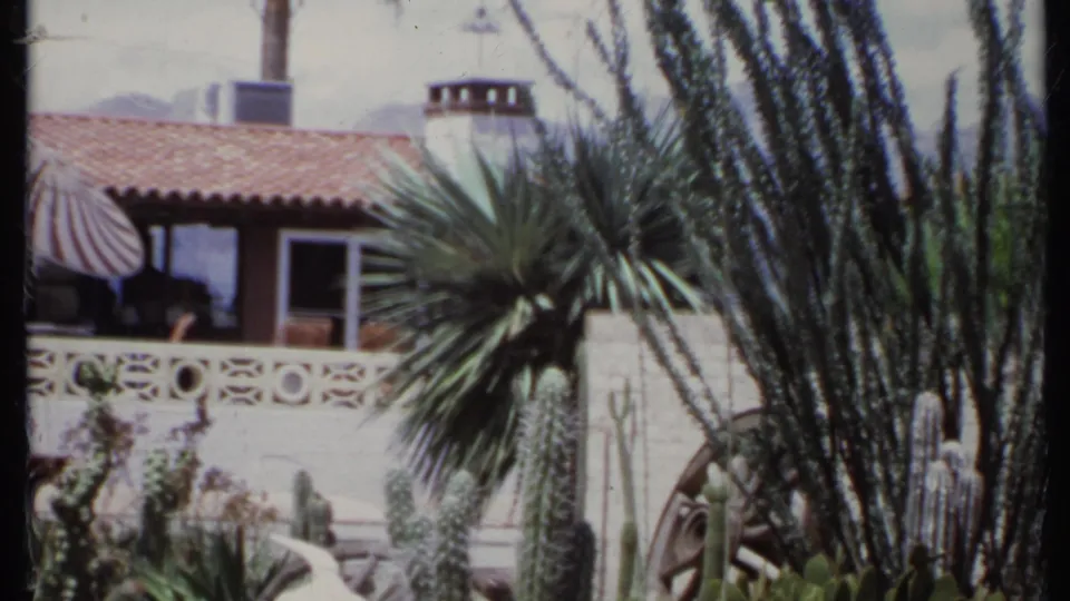 1971 California backyard frame with tall cacti, palm-like foliage, patterned wall, patio doorway, and red tile roof.