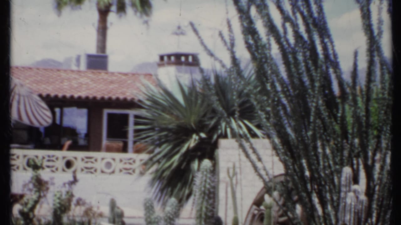 California-style house with terracotta roof, palm tree, yucca, cacti, and decorative white wall.