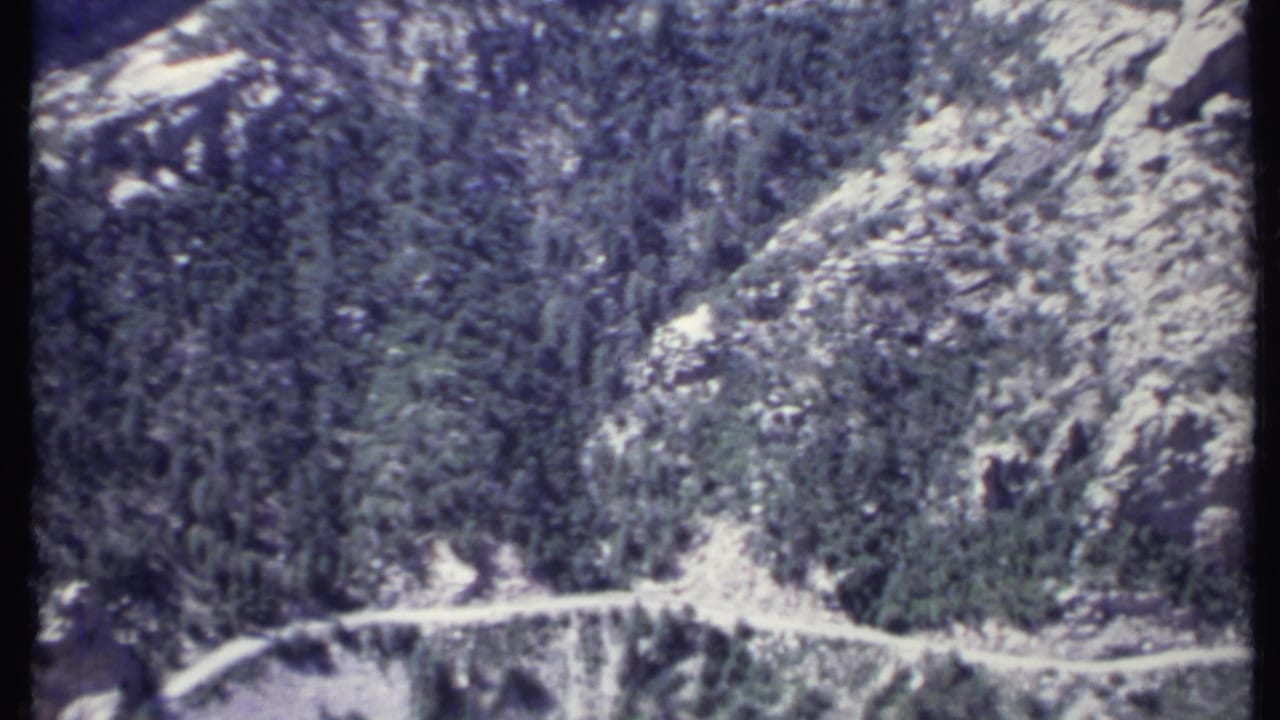 Dirt road crossing a forested mountain slope with rocky terrain above it.