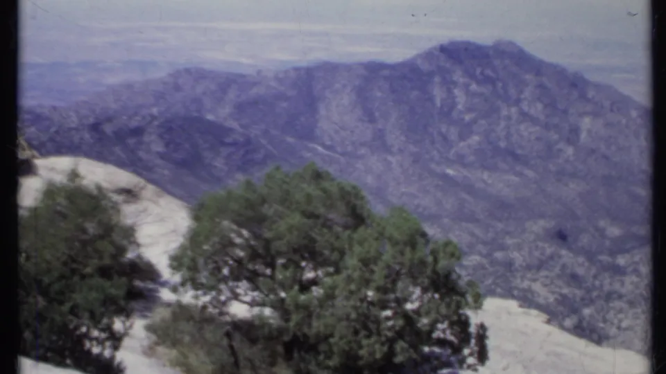 1971 California 8mm frame showing evergreen shrubs, pale stone, and a broad mountain ridge under a bright hazy sky.