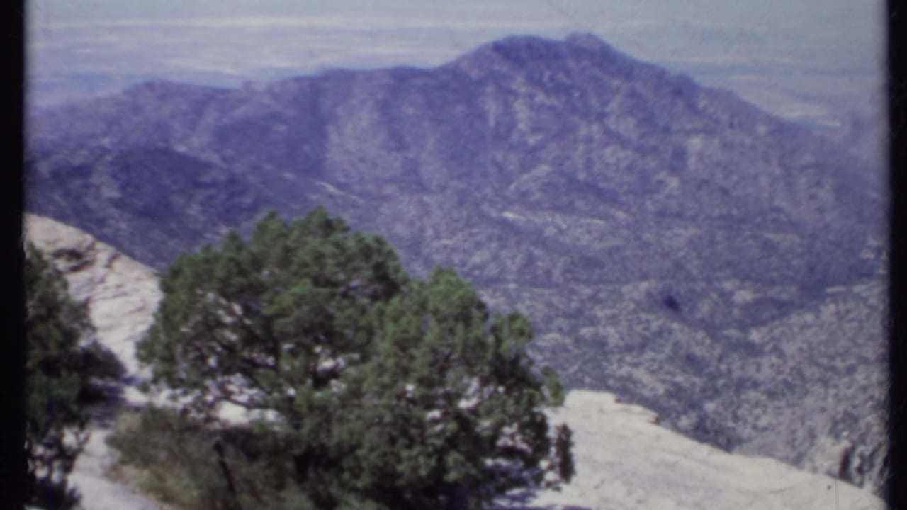 Rocky mountain ridge with green trees and pale stone in the foreground.
