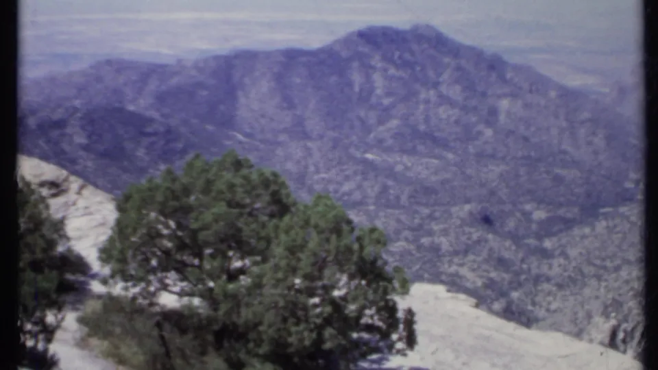 1971 California 8mm frame showing a rugged mountain ridge beyond green trees and pale rocky ground.