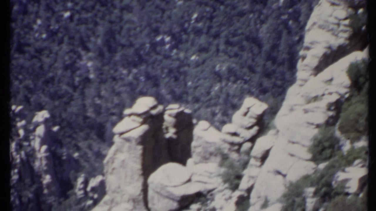 Rock formations rise above a pine-covered canyon in bright daylight.