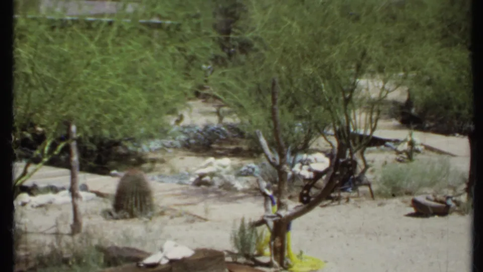 1971 California home-movie frame showing desert landscaping with shrubs, cactus, rocks, pale soil, and a glimpse of a walkway or low structure.