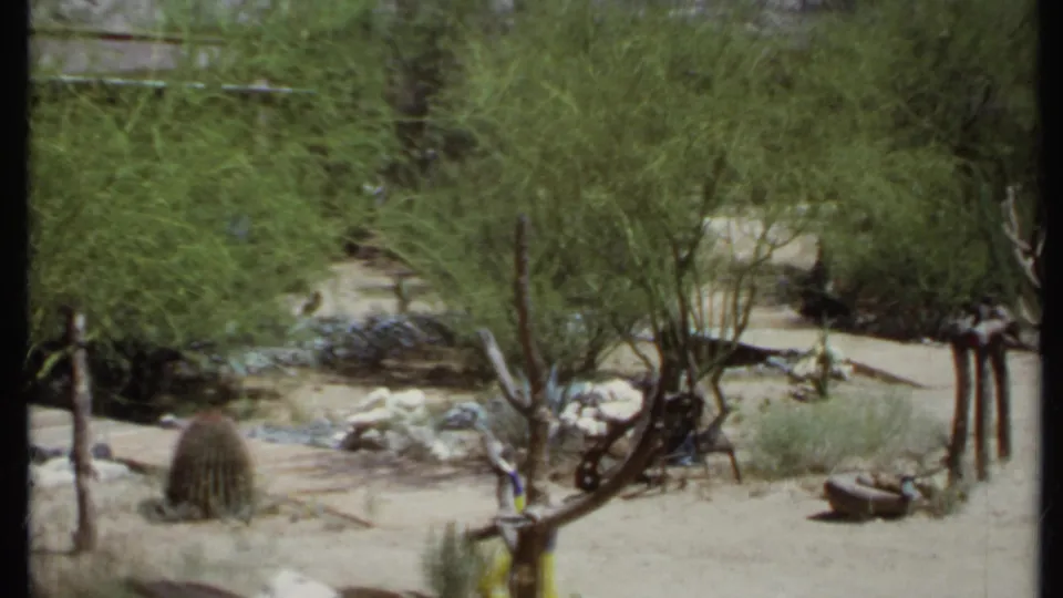 1971 California 8mm frame showing sparse desert vegetation, a barrel cactus, sandy paths, pale rocks, and a rocky mountain slope.