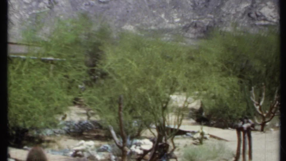 1971 California 8mm frame with green desert shrubs in the foreground and a gray rocky mountain rising behind them.