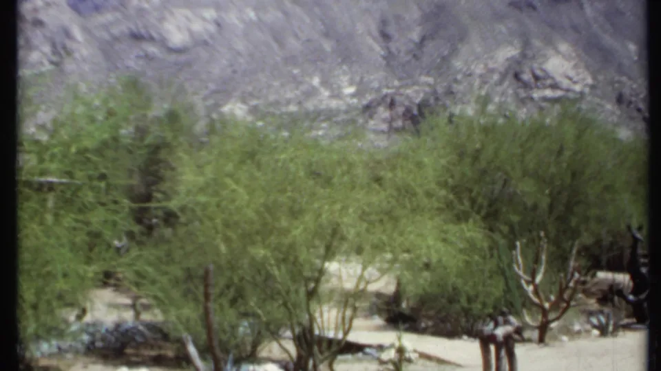 Faded 1971 California home-movie frame showing desert vegetation and cactus forms at the base of a rocky mountain.