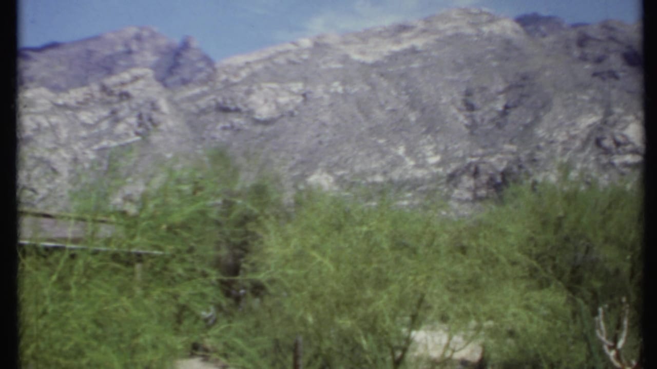 Rugged mountains above green desert shrubs under a blue sky.