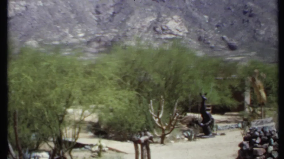 1971 California 8mm frame showing a desert garden with shrubs, cactus forms, stone edging, rustic fencing, and dark animal-like sculptures.