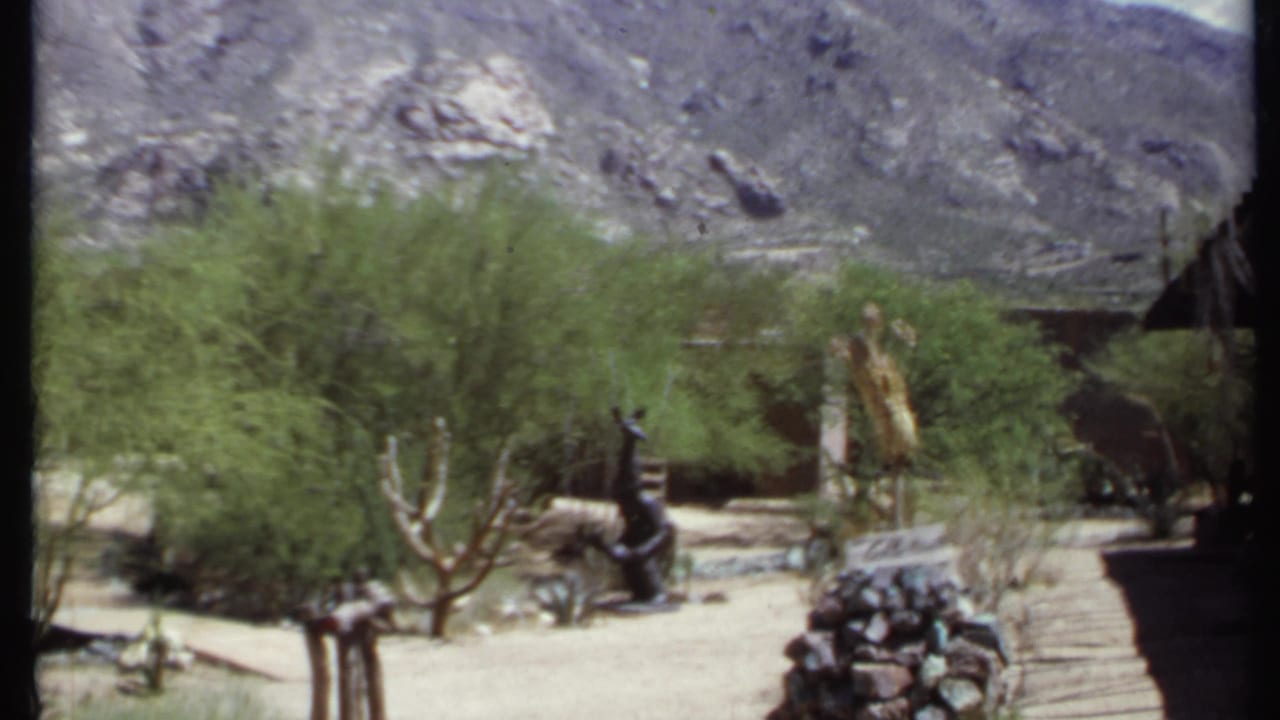 Desert yard with shrubs, cactus, stone features, building edge, and rocky mountain behind.