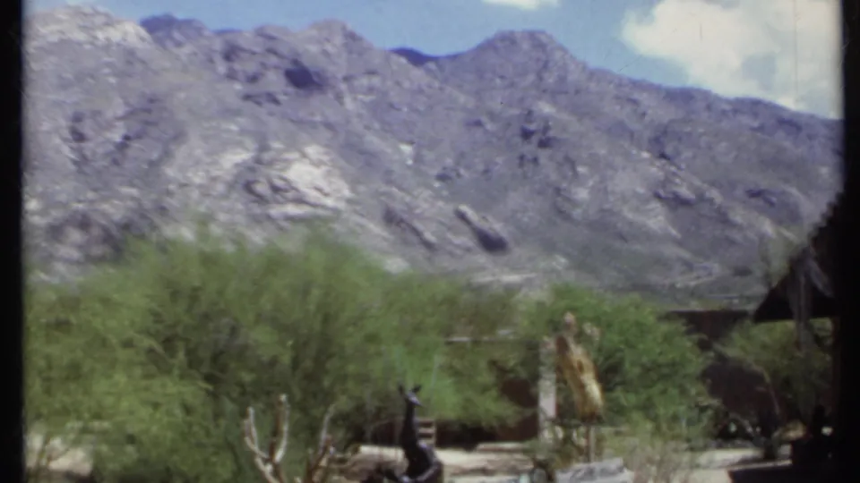 1971 California 8mm frame with soft focus on desert shrubs and cactus in front of a rocky mountain and adobe-style building edge.