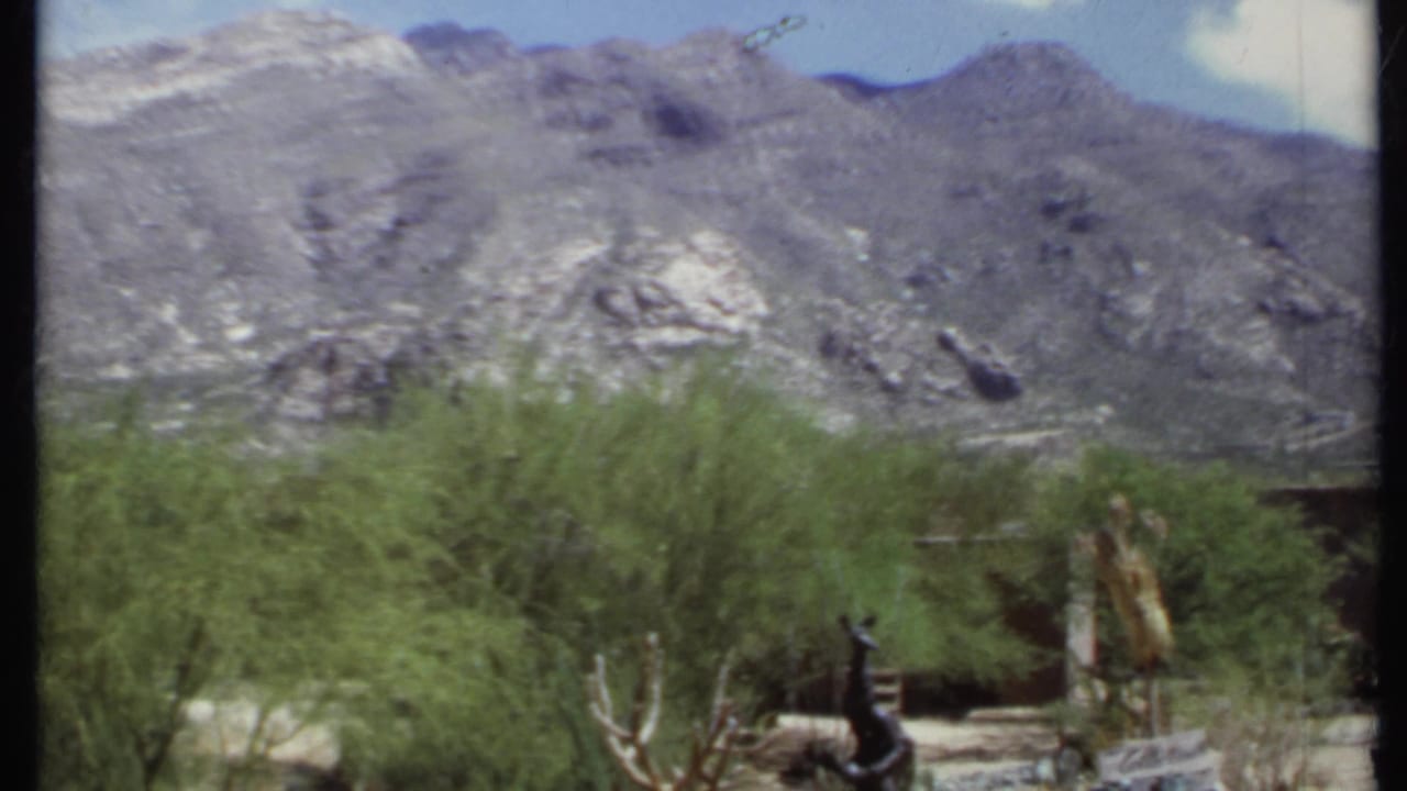Rocky mountain range behind desert shrubs under a bright sky.