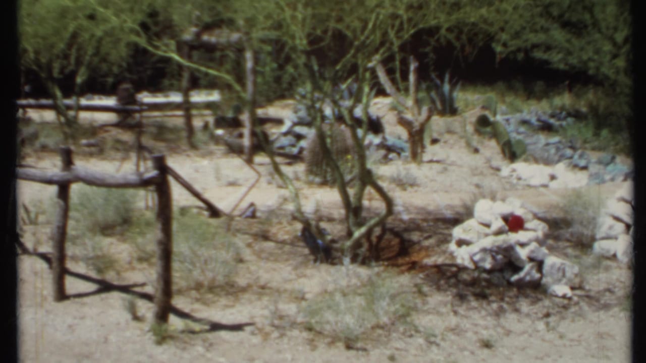 1971 California 8mm frame of a rustic fenced desert property with sparse trees, cactus, pale sand, stones, and a small fire-pit area.