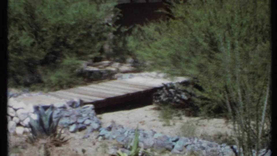 1971 California desert garden frame with a small wooden bridge, rock-lined bed, cactus, shrubs, sandy soil, and a tall green plant at right.